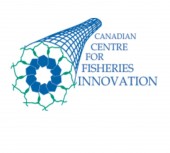 CCFI