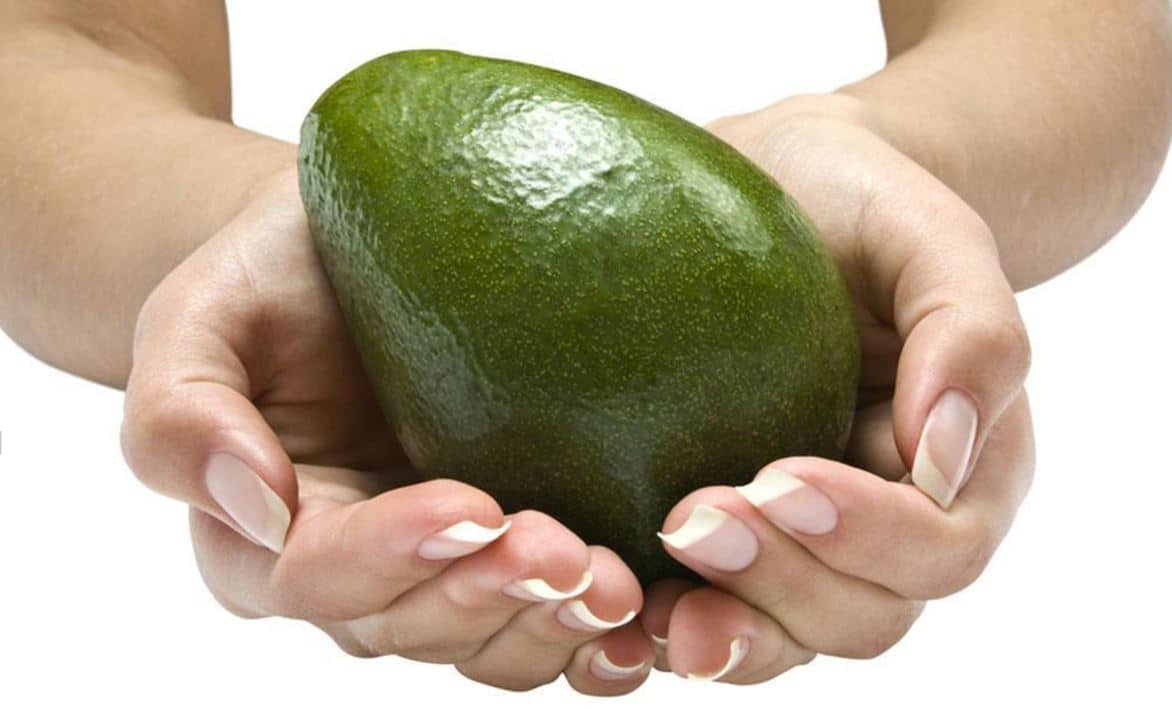 Virtual YouTubing – An Introduction – The Avocado
