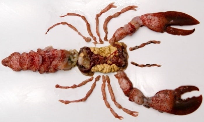 Fig. 1. HPP shucking for 100% recovery of lobster meat. Fig. 1. HPP shucking for 100% recovery of lobster meat.