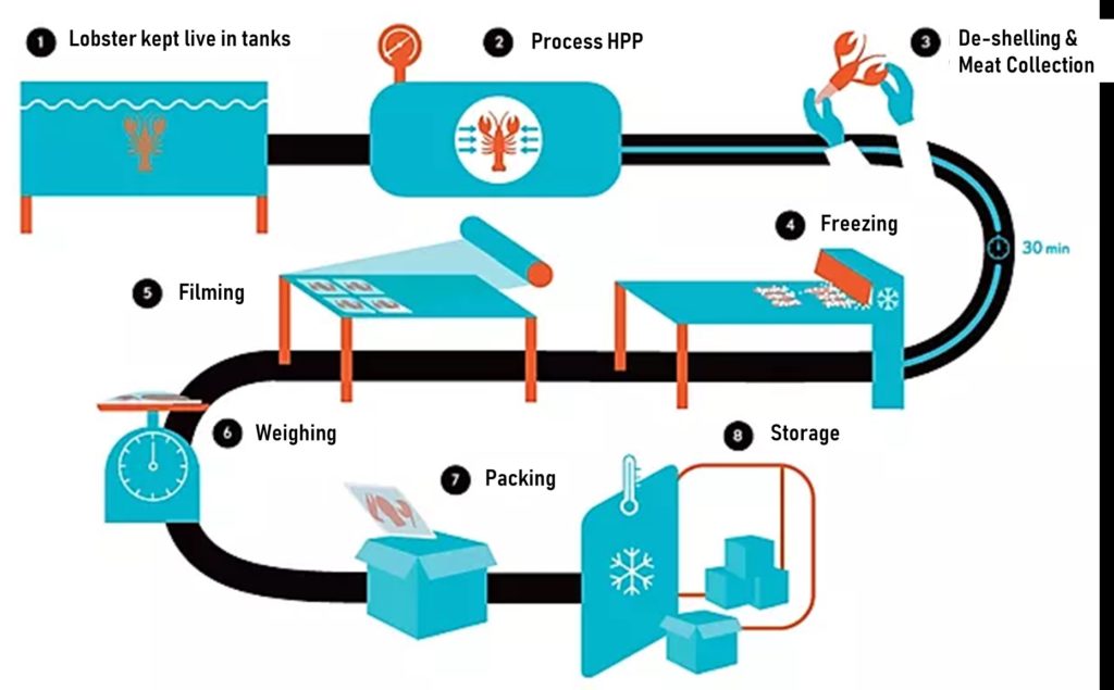 Fig. 2. Processing line for lobster meat extraction. Translated from: Cinq-De-Grés: Nos Philosophie.