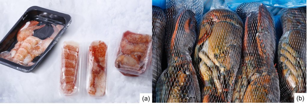 Fig. 3. Presentaciones comerciales de langosta HPP sin cocer: (a) Langosta entera, colas y pinzas, sin cáscara; (b) Langosta HPP entera y con caparazón. Fuente: Westmorland Fisheries.