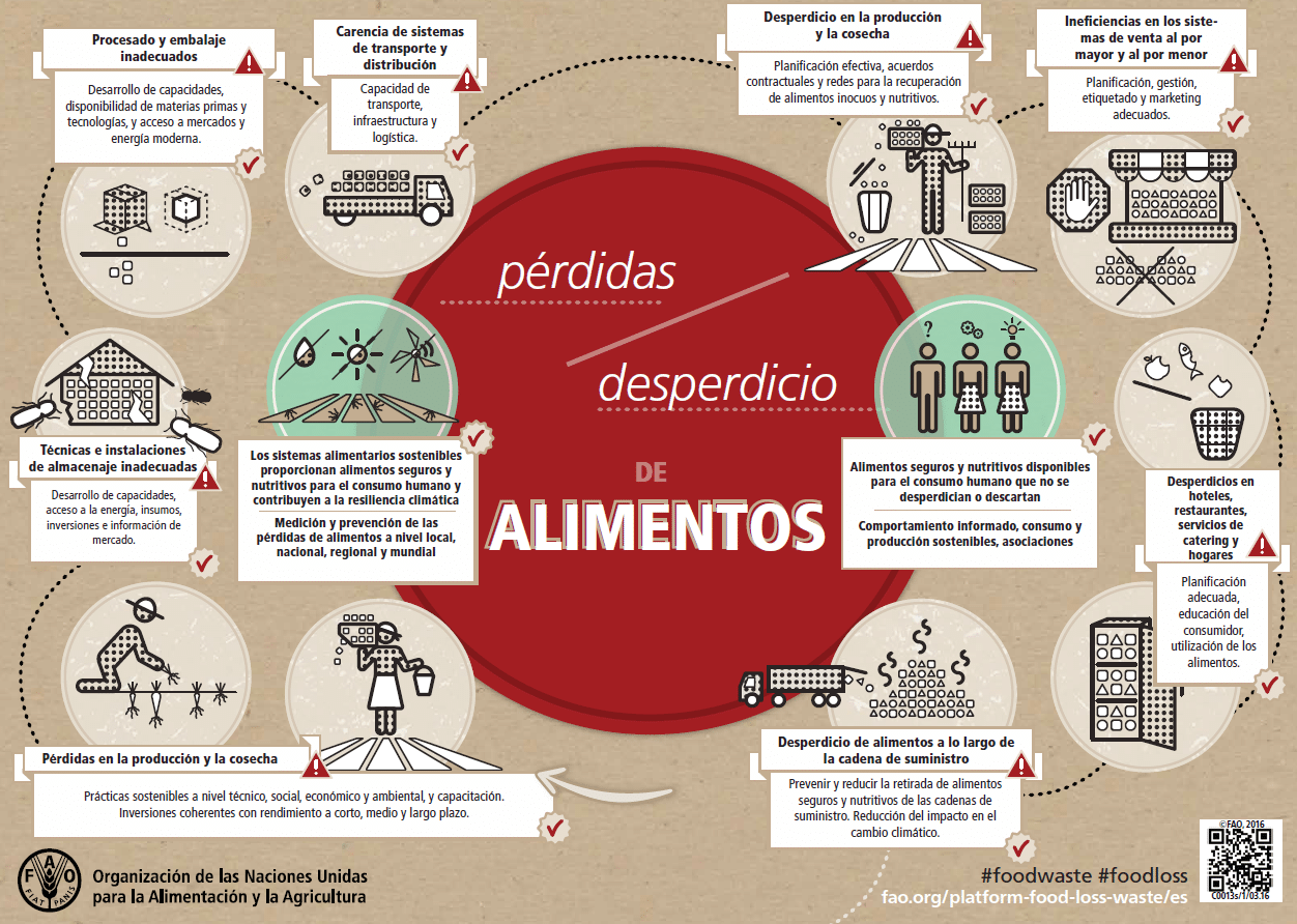 Infografía de la FAO para exponer el origen de la pérdida y desperdicio de alimentos.