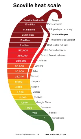 Infografía de los grados de picante en función de la escala de Scoville. Fuente: The Orange Counter Register Infografía de los grados de picante en función de la escala de Scoville. Fuente: The Orange Counter Register
