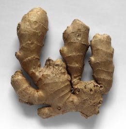 Ginger Root