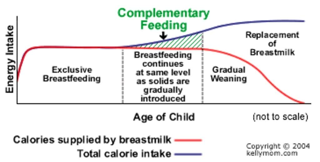 Dieta saludable para niños con una Alimentación complementaria en la edad infantil a la lactancia materna.