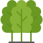 trees
