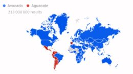 Searches of avocado and avocado terms worldwide. Source: (Google Inc., s.f.)