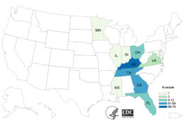 Figure 1. People infected for lack of food safety in meat products by eating minced beef contaminated with E. coli. Source: USA Center for Disease Control and Prevention (CDC).