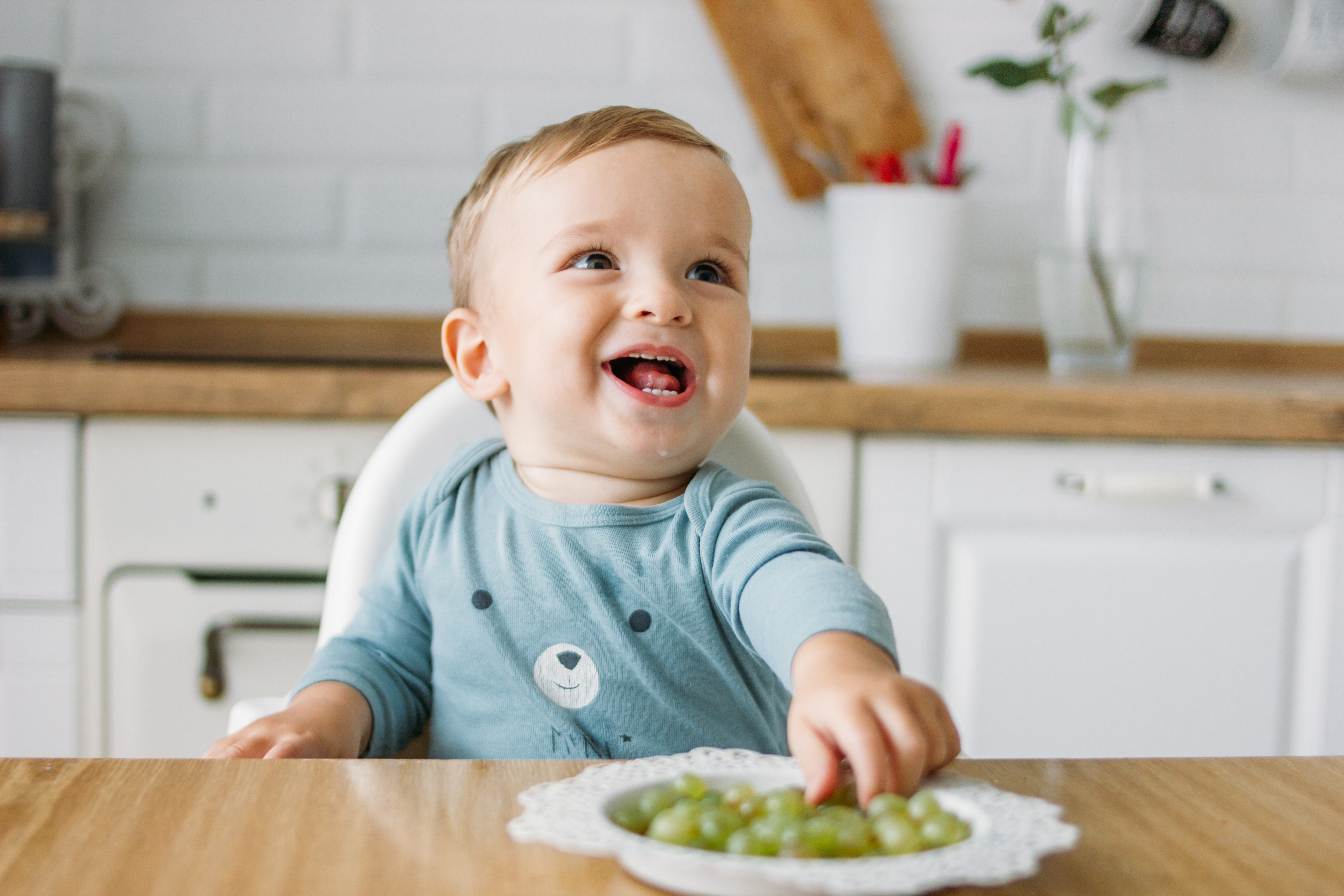 Conservation and pasteurization of Baby & Infants Food products - HPP