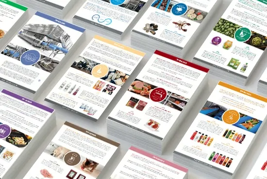 Flyers, Whitepapers & Case Studies