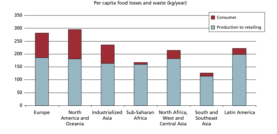 Source: FAO report (from chapter 3) showing the food losses and waste in kg/year