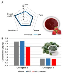 Figura 2. Evaluación sensorial de puré de fresa fresco y HPP (A), y concentración de clorofila en puré de espinaca fresco, HPP y procesado térmicamente (B).