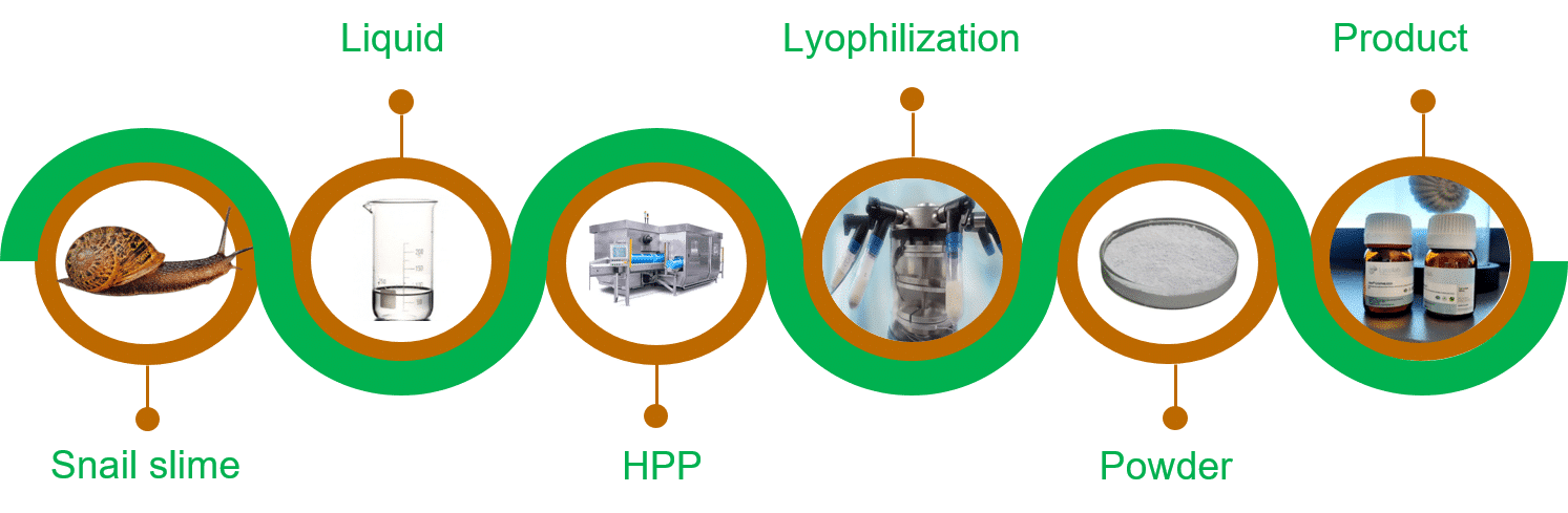 Figure 1. Lycolab process combining HPP and lyophilization to obtain biocollagen