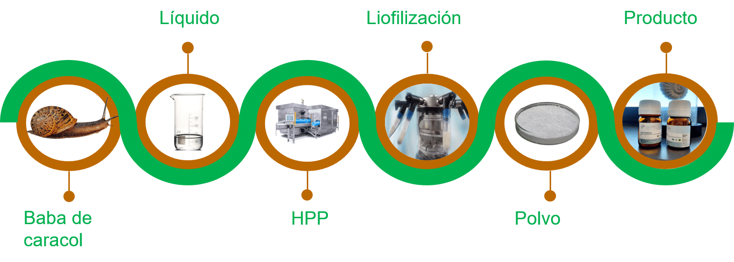 Figura 1. Proceso de Lycolab combinando HPP y liofilización para la obtención de biocolágeno