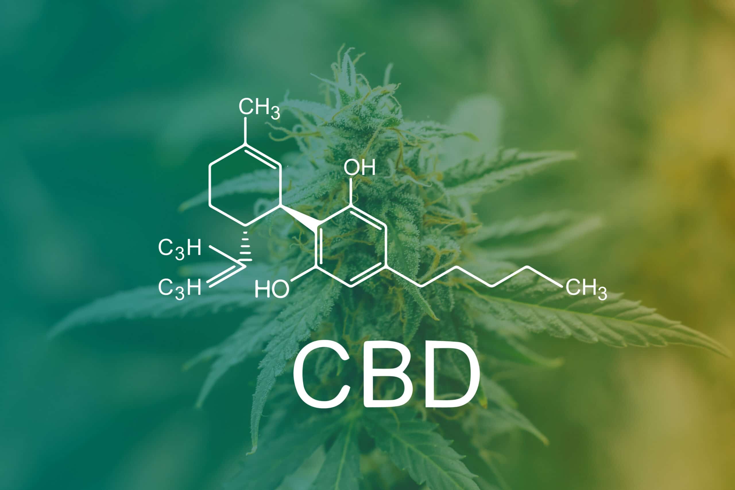 Analyzing the use of HPP in Cannabidiol (CBD) Products - Hiperbaric