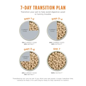 7-day transition Plan from Instinct