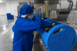 Operario de RV Fresh colocando producto en contenedores HPP Operario de RV Fresh colocando producto en contenedores HPP