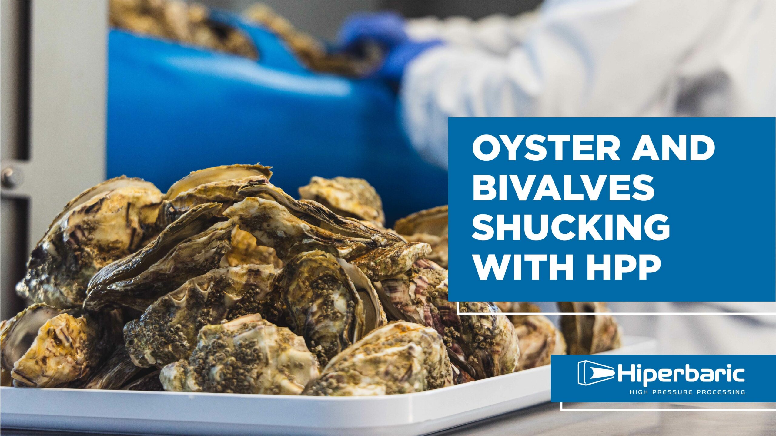 Oysters and bivalves shucking with HPP