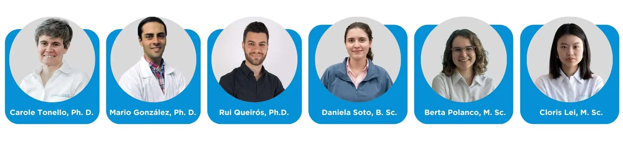 Apps Team (3)